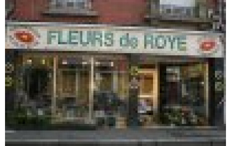 Fleurs de Roye